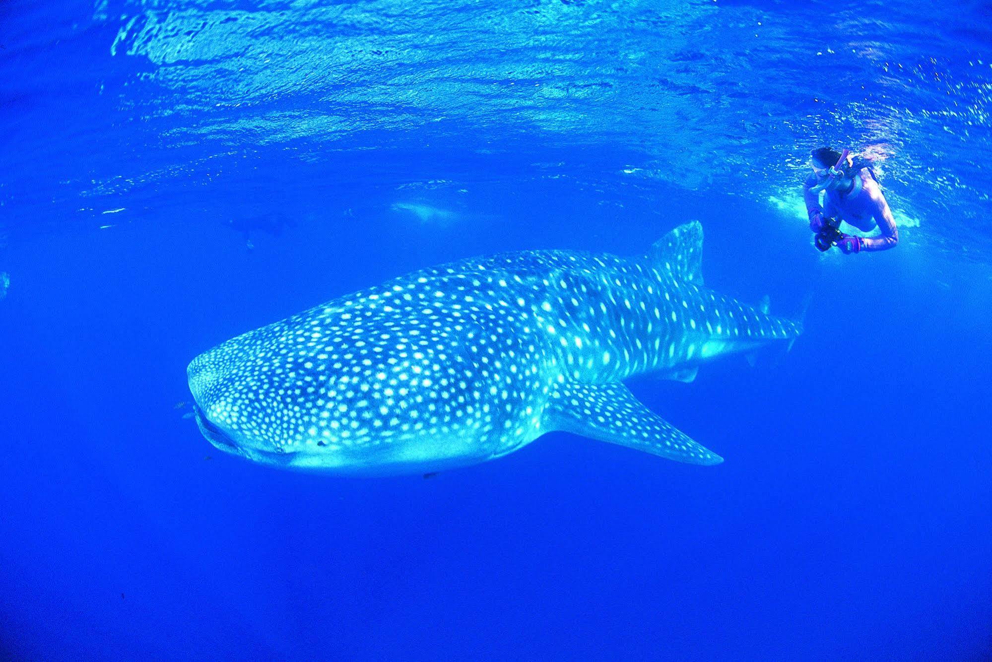 Ningaloo Reef Resort Coral Bay Ngoại thất bức ảnh